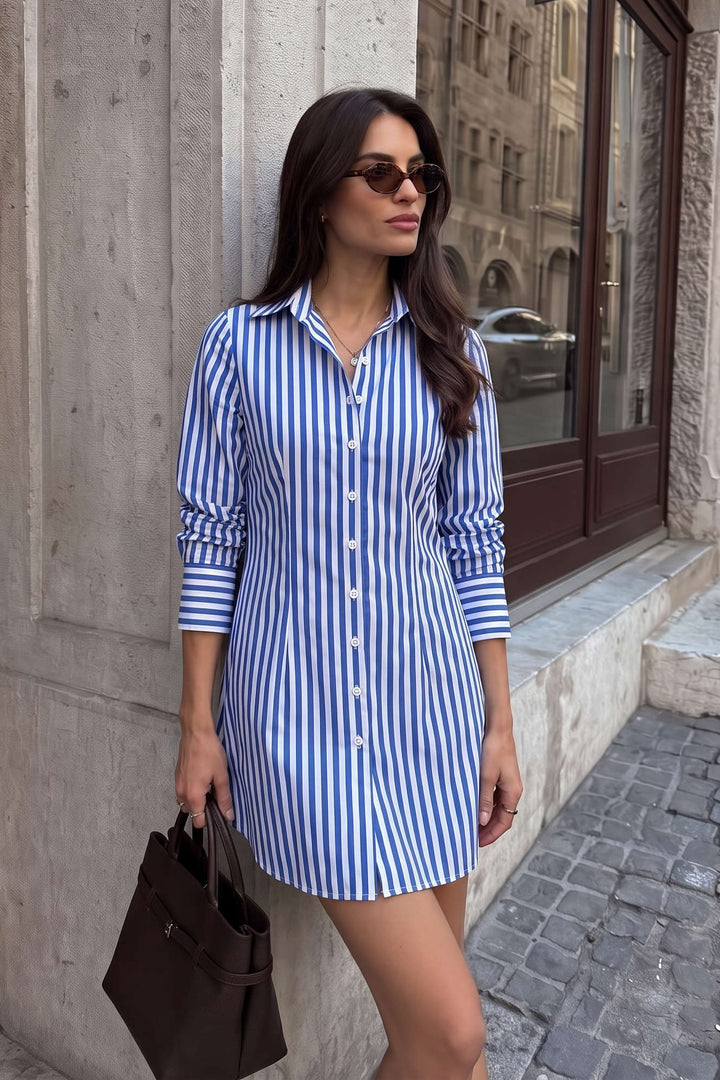 Stripes Print Long Sleeve Mini Dress